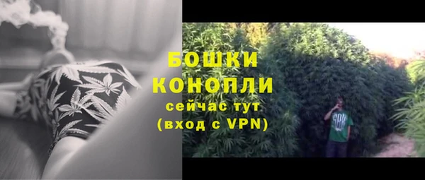 гидропоника Балабаново