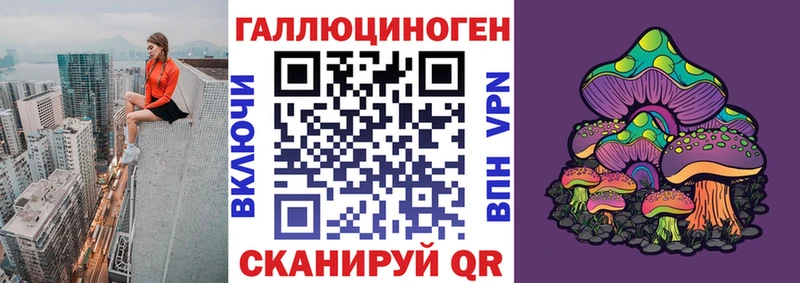 Галлюциногенные грибы мицелий  блэк спрут tor  Зверево  купить наркотики цена 